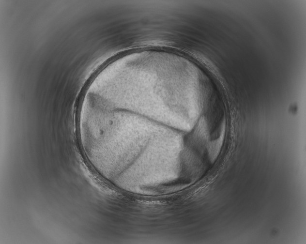 X0000115541031200911271405