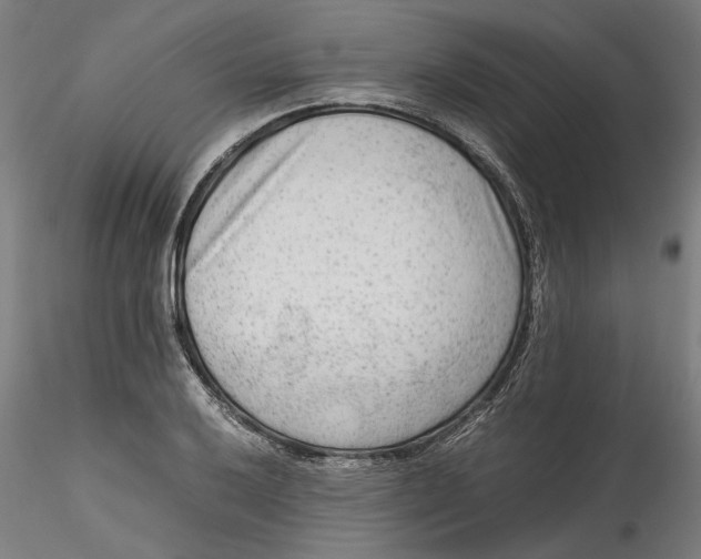 X0000115541032200911271405