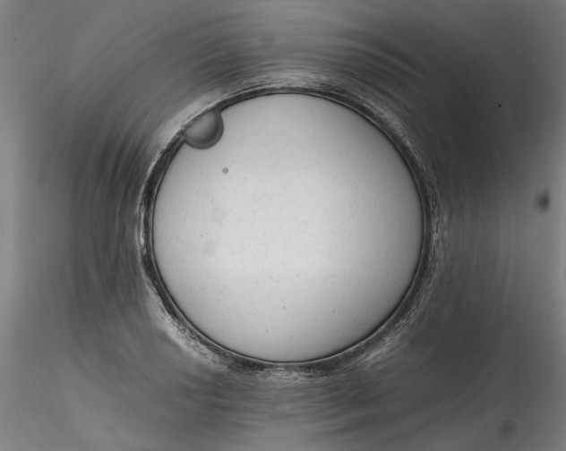 X0000115541034200911271405