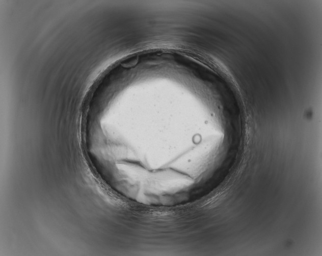 X0000115541035200911271405