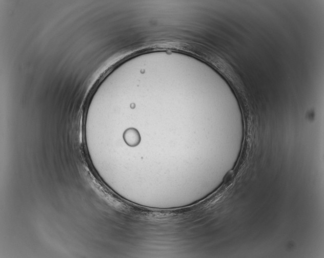 X0000115541036200911271405