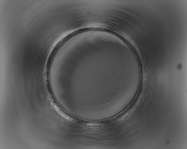 X0000115541037200911271405