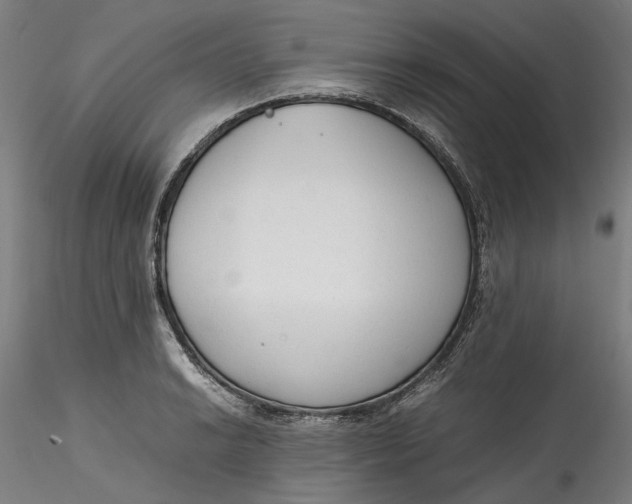 X0000115541038200911271405