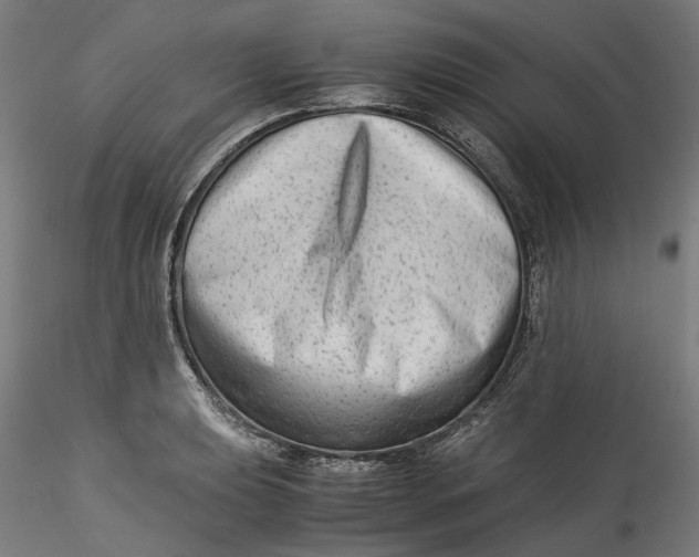 X0000115541039200911271406