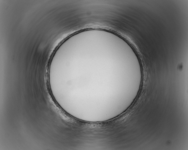 X0000115541040200911271406