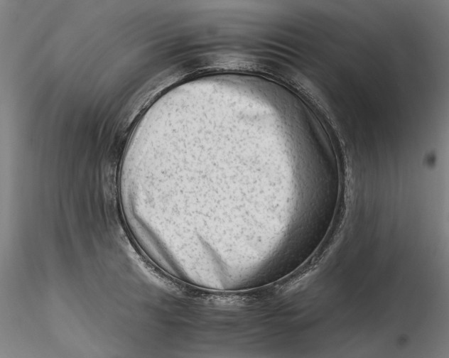 X0000115541041200911271406