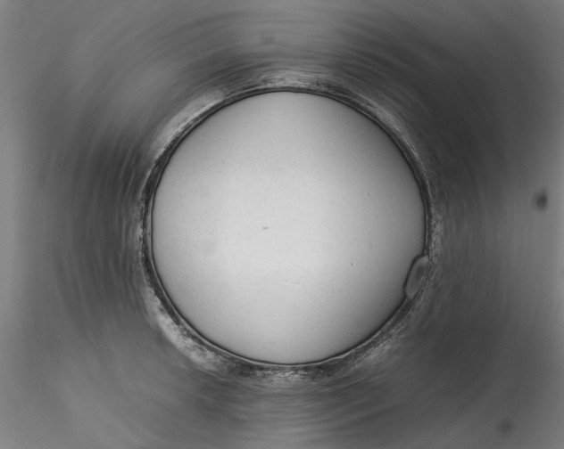 X0000115541042200911271406