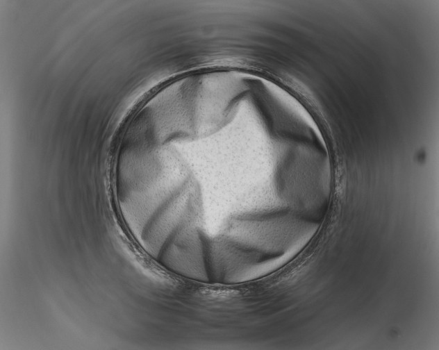 X0000115541043200911271406