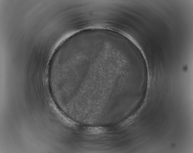 X0000115541045200911271406