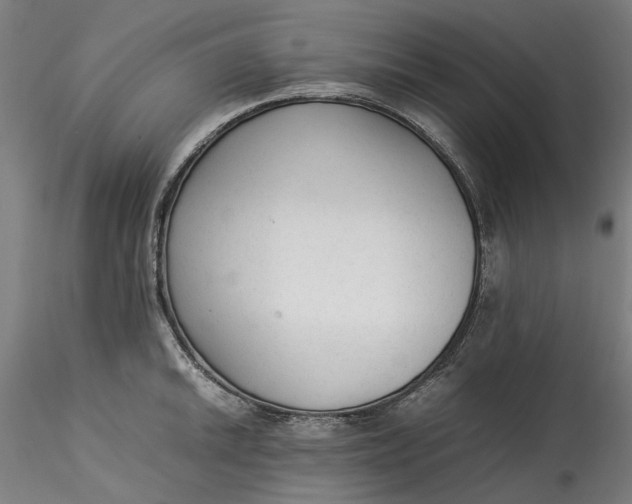 X0000115541046200911271406