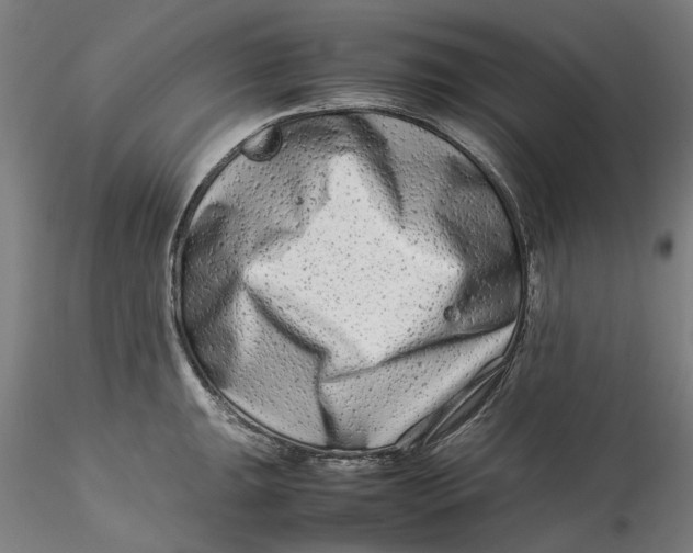 X0000115541047200911271406