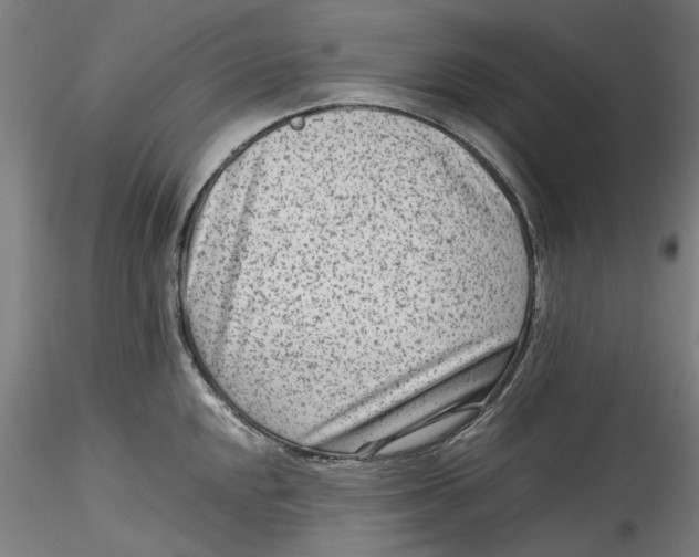 X0000115541048200911271406