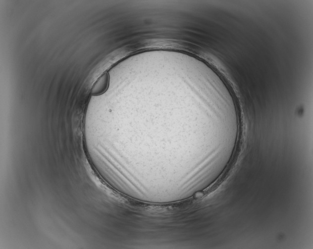 X0000115541049200911271406