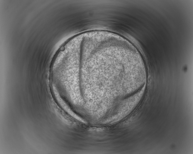 X0000115541051200911271406