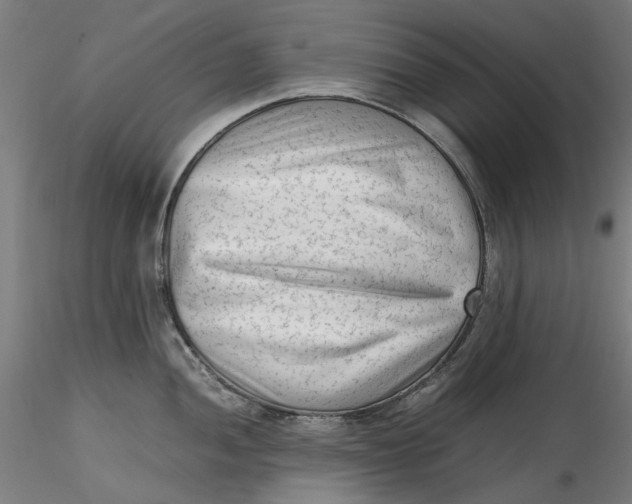 X0000115541052200911271406