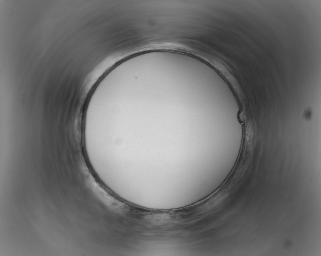 X0000115541054200911271406