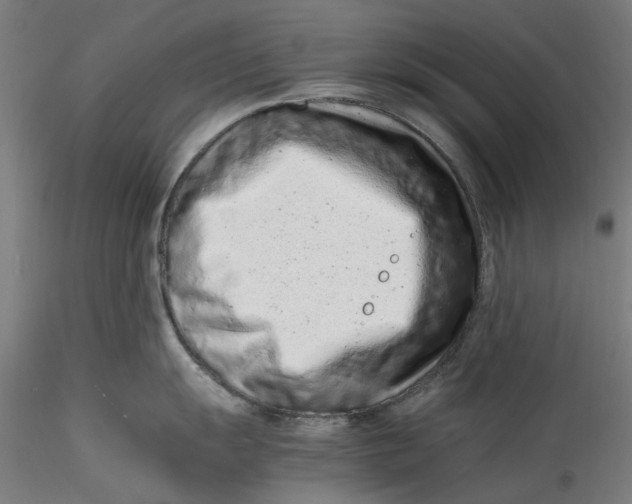 X0000115541055200911271406