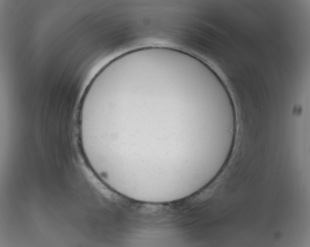 X0000115541056200911271406