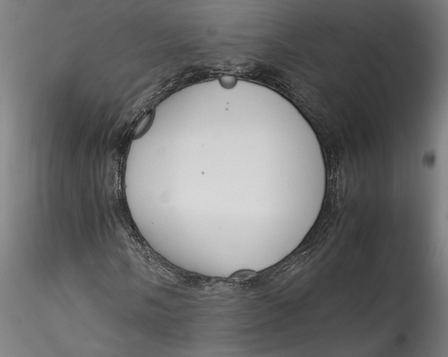 X0000115541058200911271405