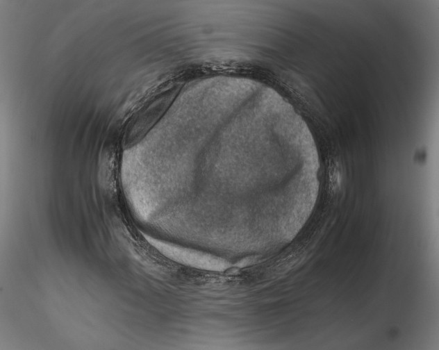 X0000115541060200911271405