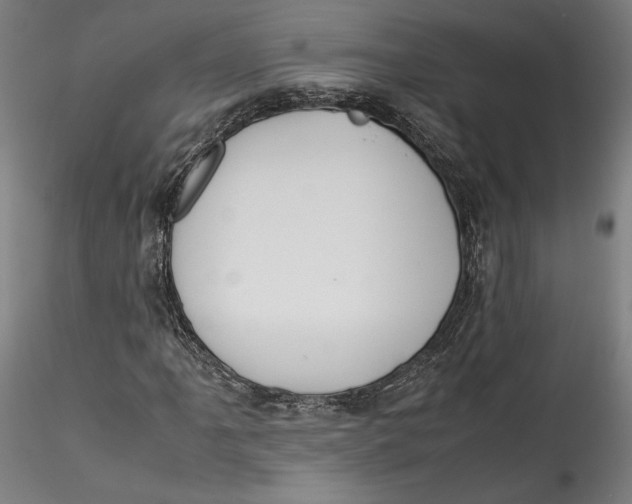 X0000115541061200911271405