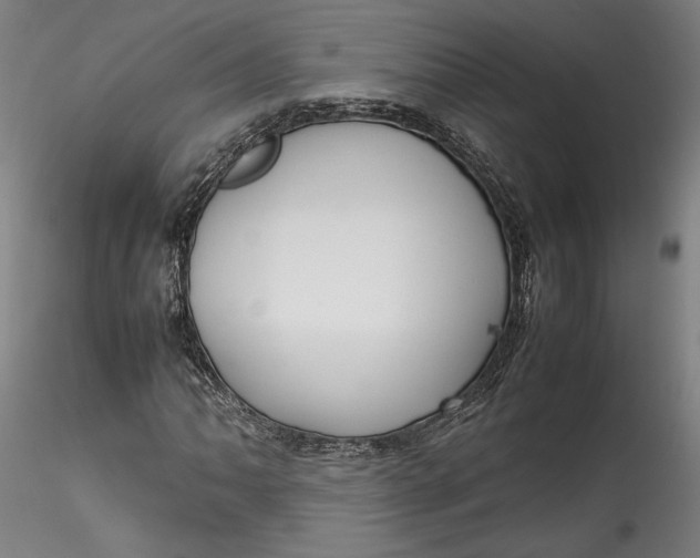 X0000115541062200911271405