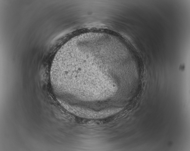 X0000115541063200911271405