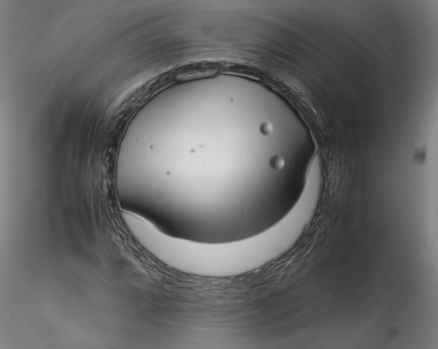 X0000115541064200911271405