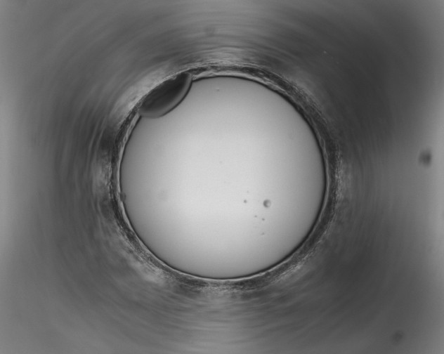 X0000115541065200911271405