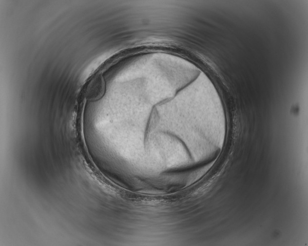 X0000115541066200911271405