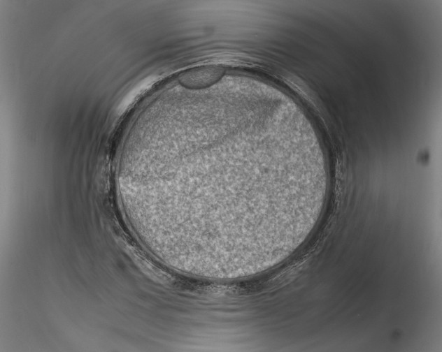 X0000115541067200911271405