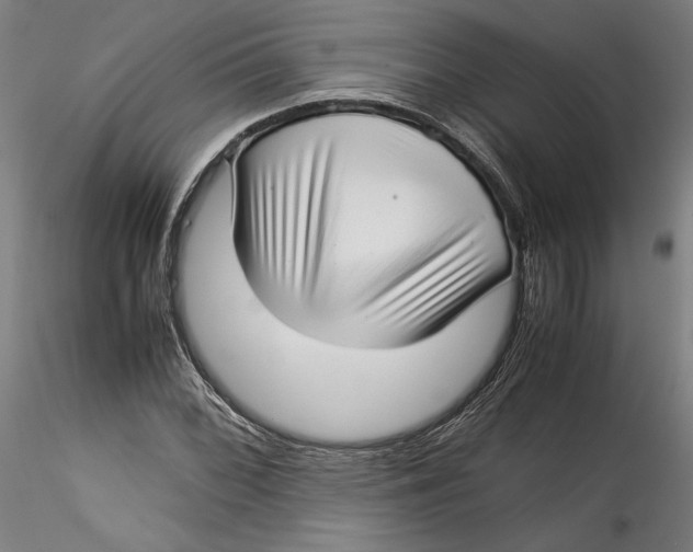 X0000115541068200911271405