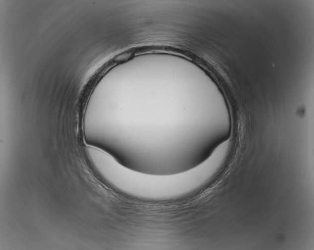 X0000115541069200911271405