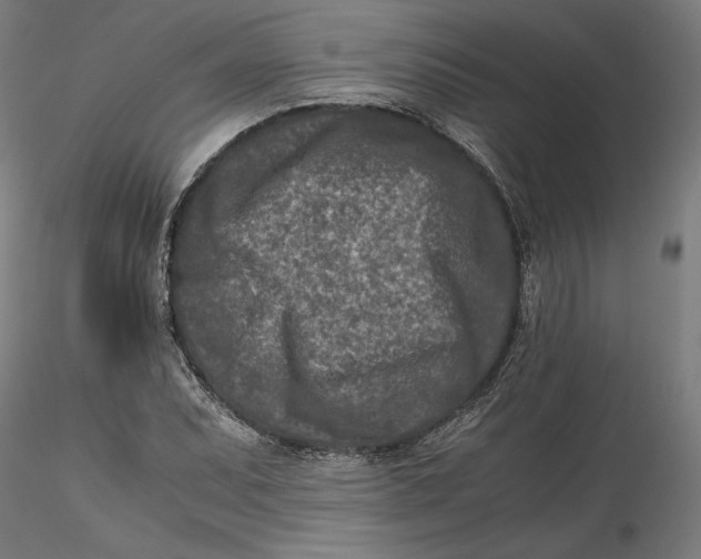 X0000115541071200911271405