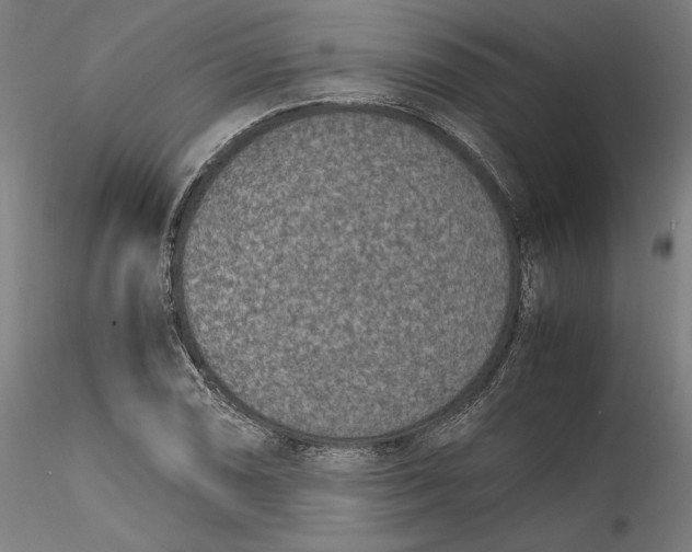 X0000115541074200911271405