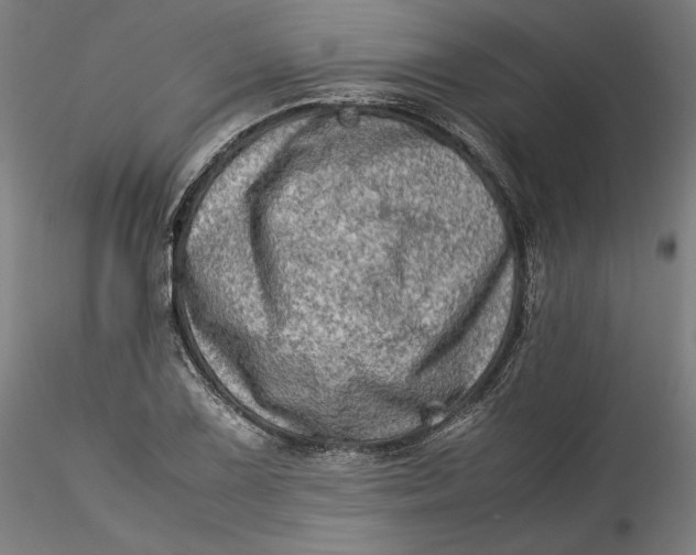 X0000115541075200911271405