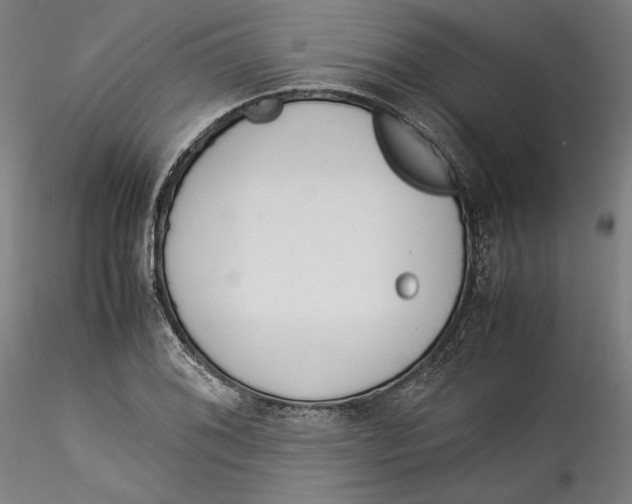 X0000115541076200911271405