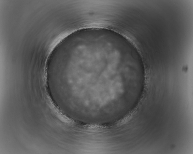 X0000115541077200911271405