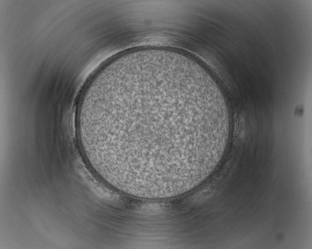 X0000115541078200911271405