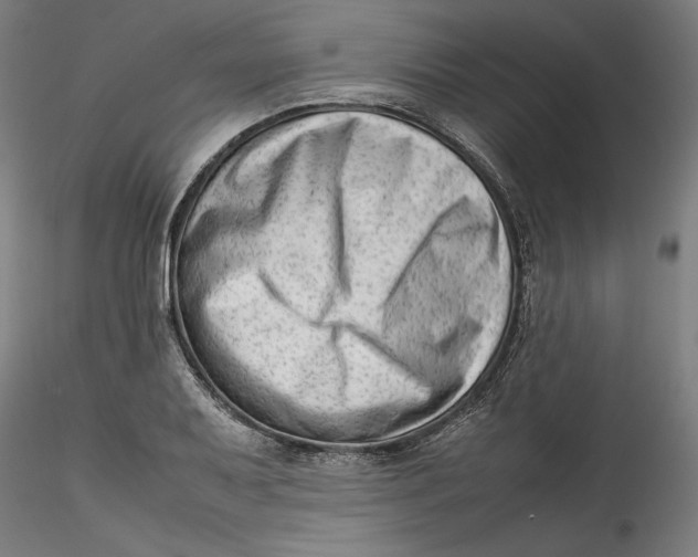 X0000115541079200911271405