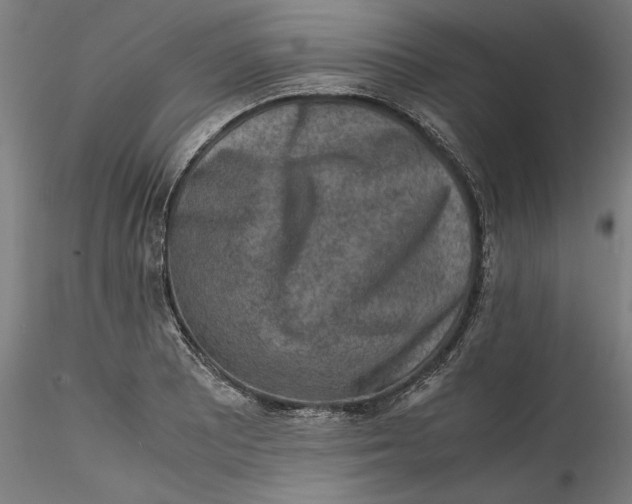 X0000115541081200911271405