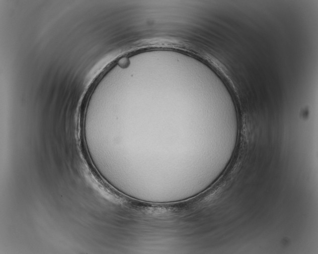 X0000115541082200911271405