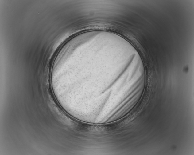 X0000115541083200911271405