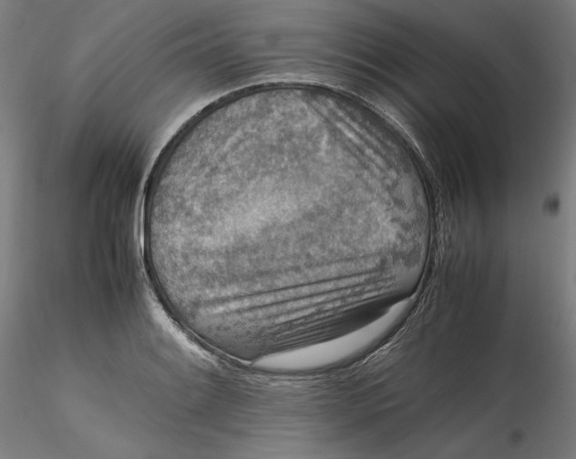 X0000115541084200911271404