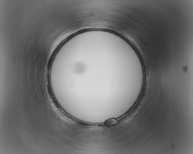 X0000115541085200911271404