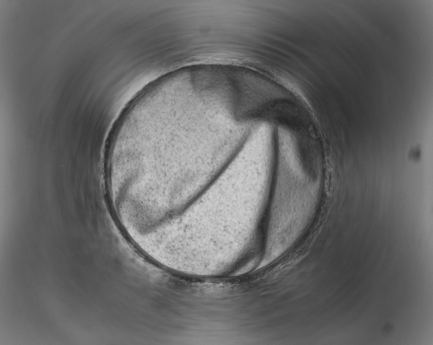 X0000115541087200911271404