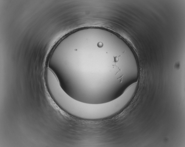 X0000115541088200911271404