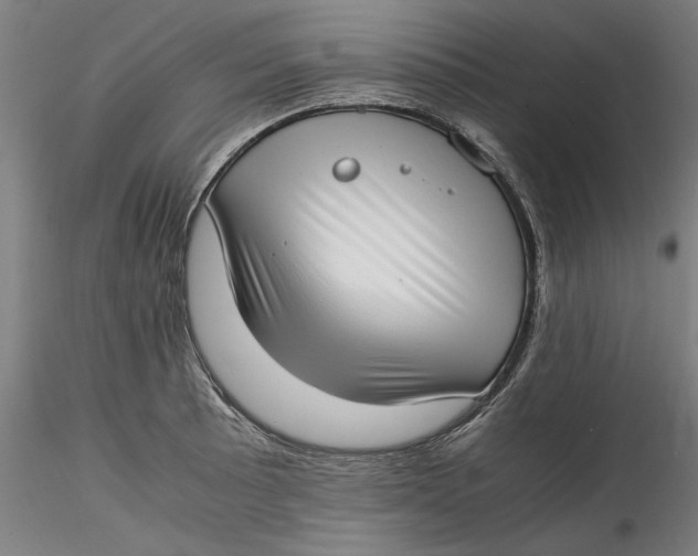 X0000115541089200911271404