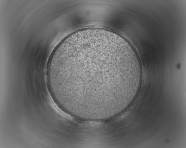 X0000115541090200911271404