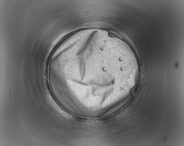 X0000115541091200911271404